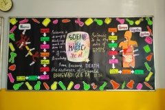 11th-science-2