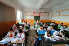 hadf