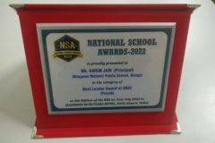NSA-1