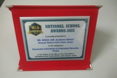 NSA-11