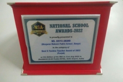 NSA-6